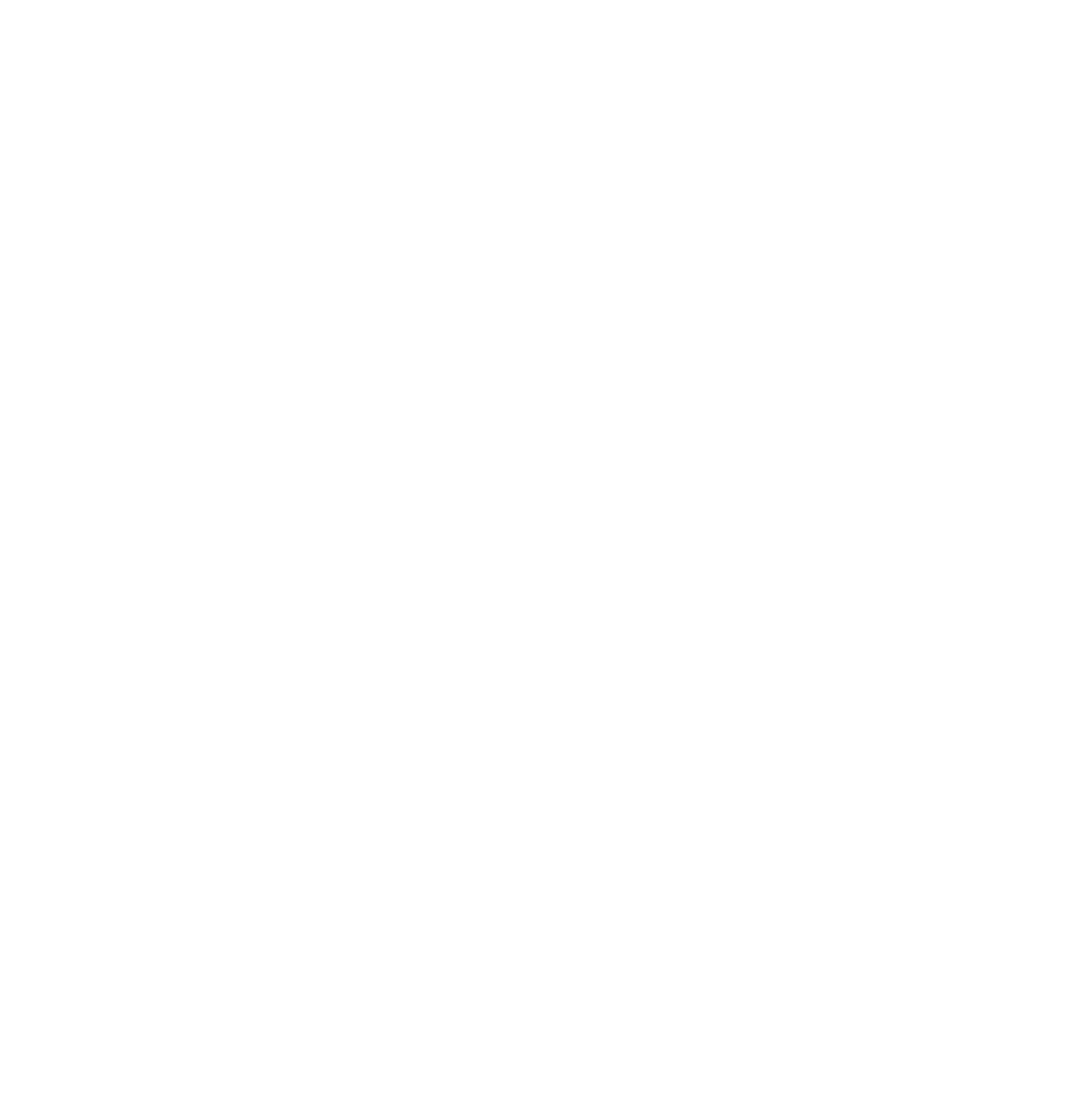 logo-print-hd-blanc-fondtransparent